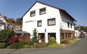Haus Erlen